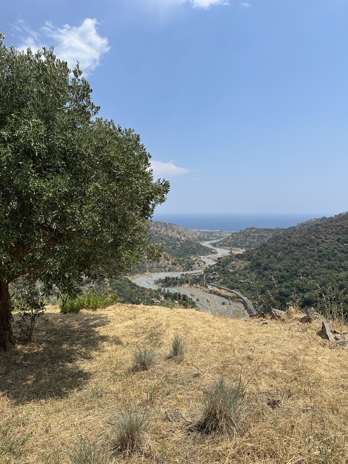 Vista dal terreno