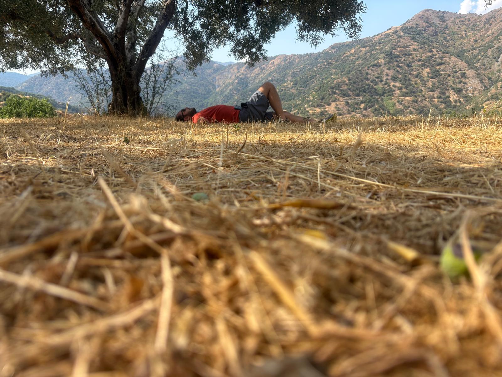 Una pausa sotto un ulivo a Savoca